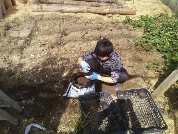 ポットに土入れ