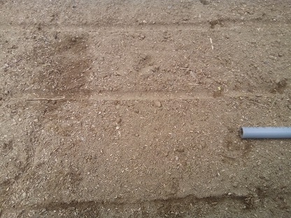 うすく土を被せる