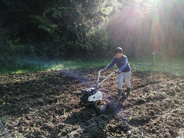扱いに慣れてきた