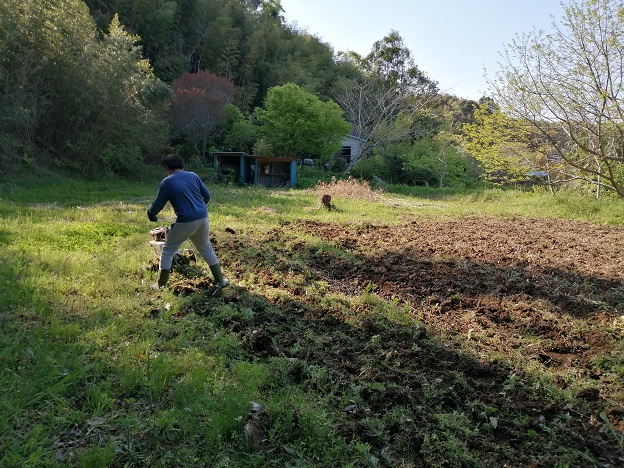 耕運機で耕す