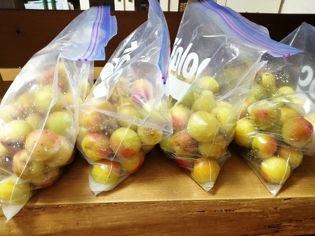 ジップロックに入れて