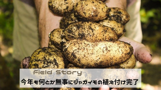 Field Story　今年も何とか無事にジャガイモの植え付け完了