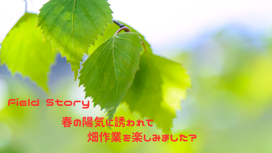 Field Story　春の陽気に誘われて畑作業を楽しみました？