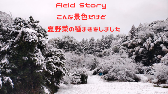 Field Story　こんな景色だけど、夏野菜の種を蒔きました。